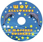 Образец печати на диске